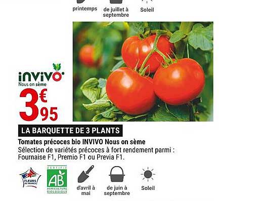 tomates précoces bio invivo nous on sème