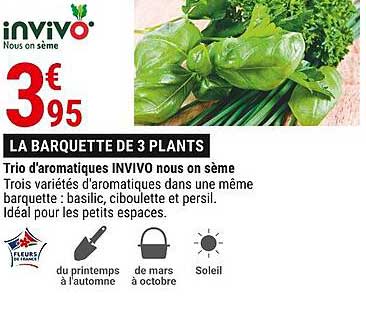 trio d'aromatiques invivo nous on sème