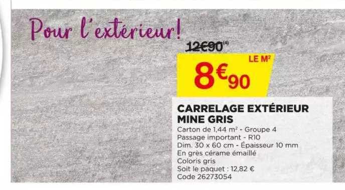 carrelage extérieur mine gris