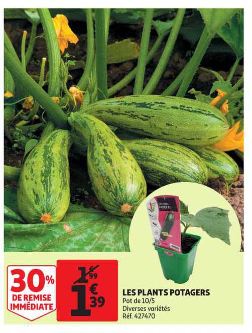 les plants portagers