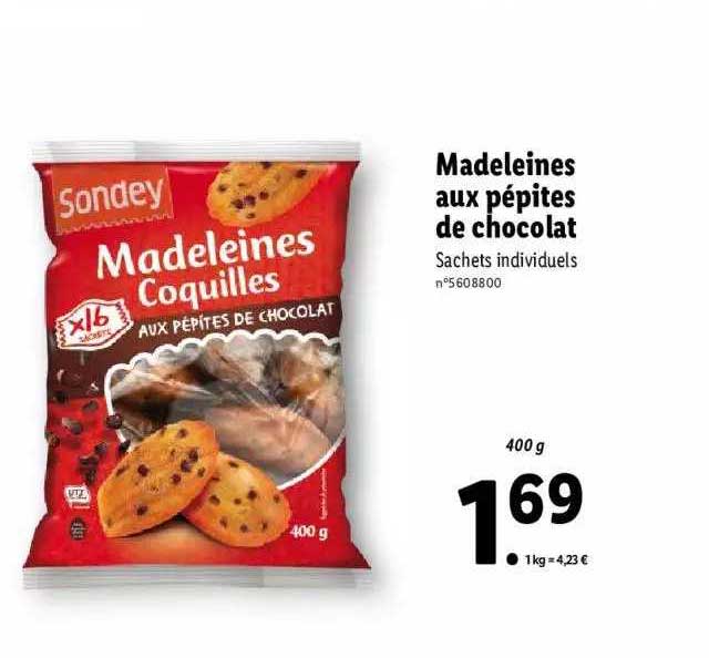 Madeleines Aux Pépites De Chocolat Sondey