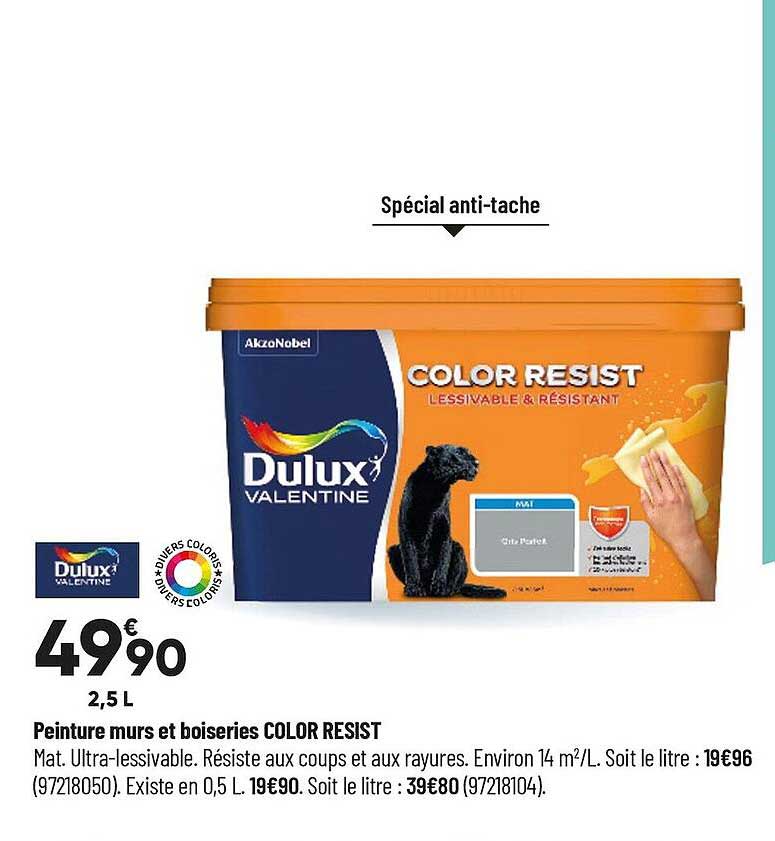 peinture murs et boiseries color resist