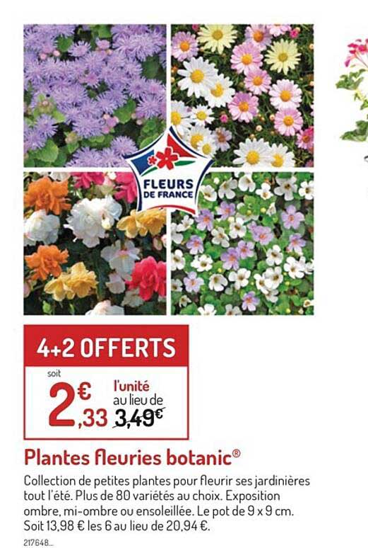 plantes fleuries botanic