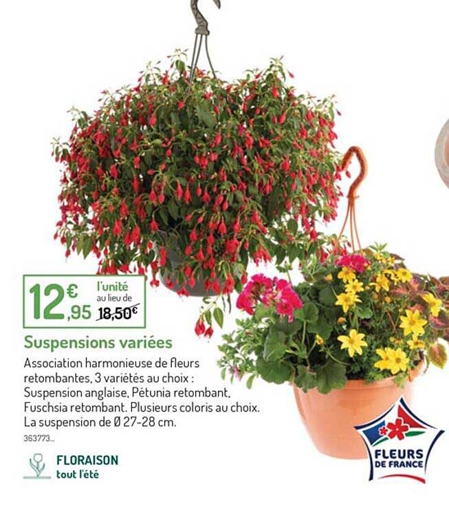 suspensions variées