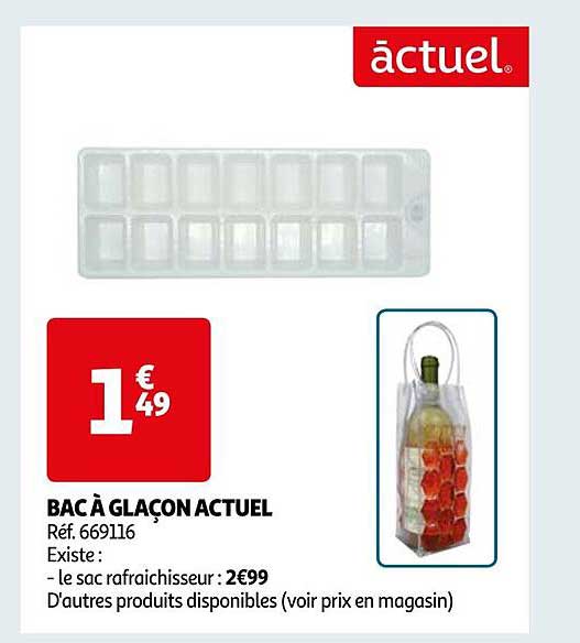 bac à glaçon actuel