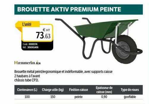 brouette aktiv premium peinte