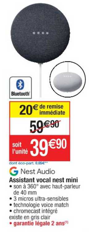 assistant vocal nest mini