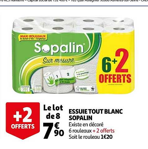 essuie tout blanc sopalin