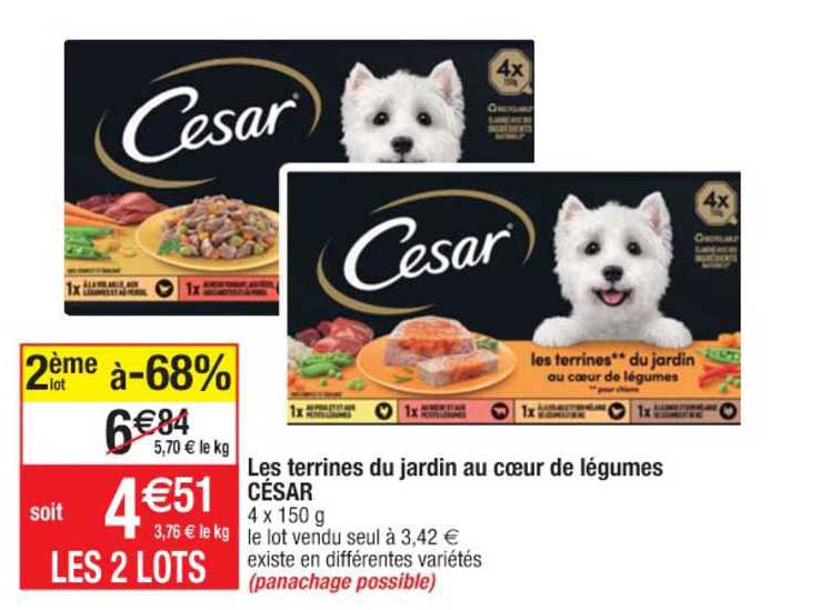 Les Terrines Du Jardin Au Cœur De Légumes César 2ème Lot à -68%
