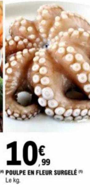 Poulpe En Fleur Surgelé