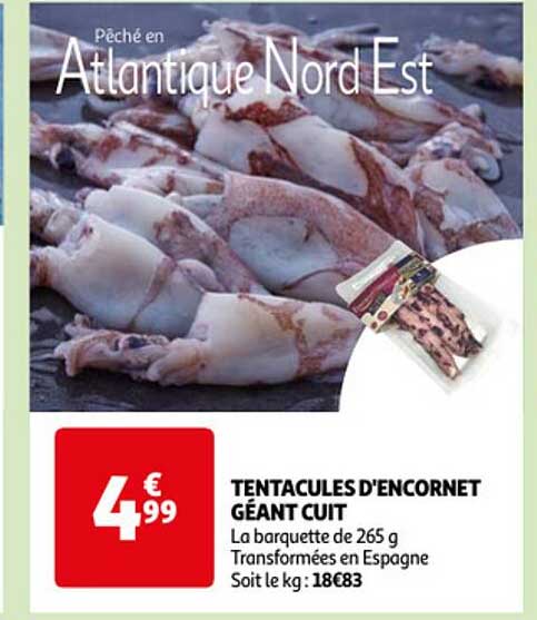 tentacules d'encornet géant cuit