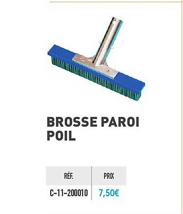 brosse paroi poil