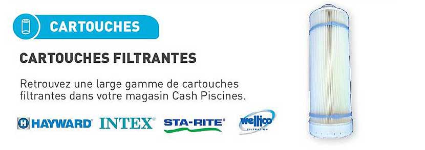 cartouches filtrantes hayward intex sta rite weltico filtration