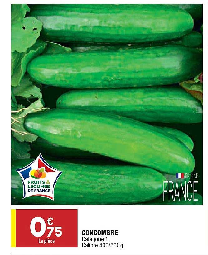 Concombre