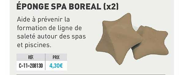 éponge spa boreal (x2)