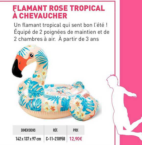 flamant rose tropical à chevaucher