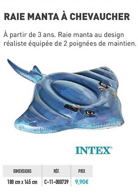 raie manta à chevaucher intex
