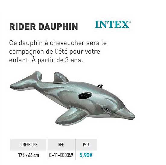 rider dauphin intex