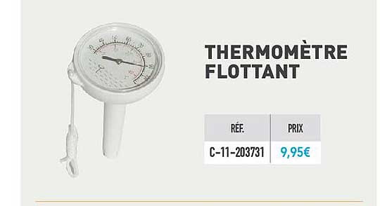 Thermomètre Flottant