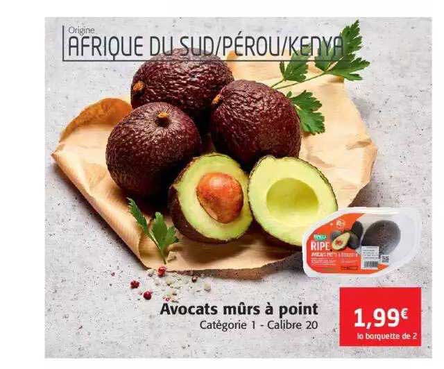 avocats mûrs à point