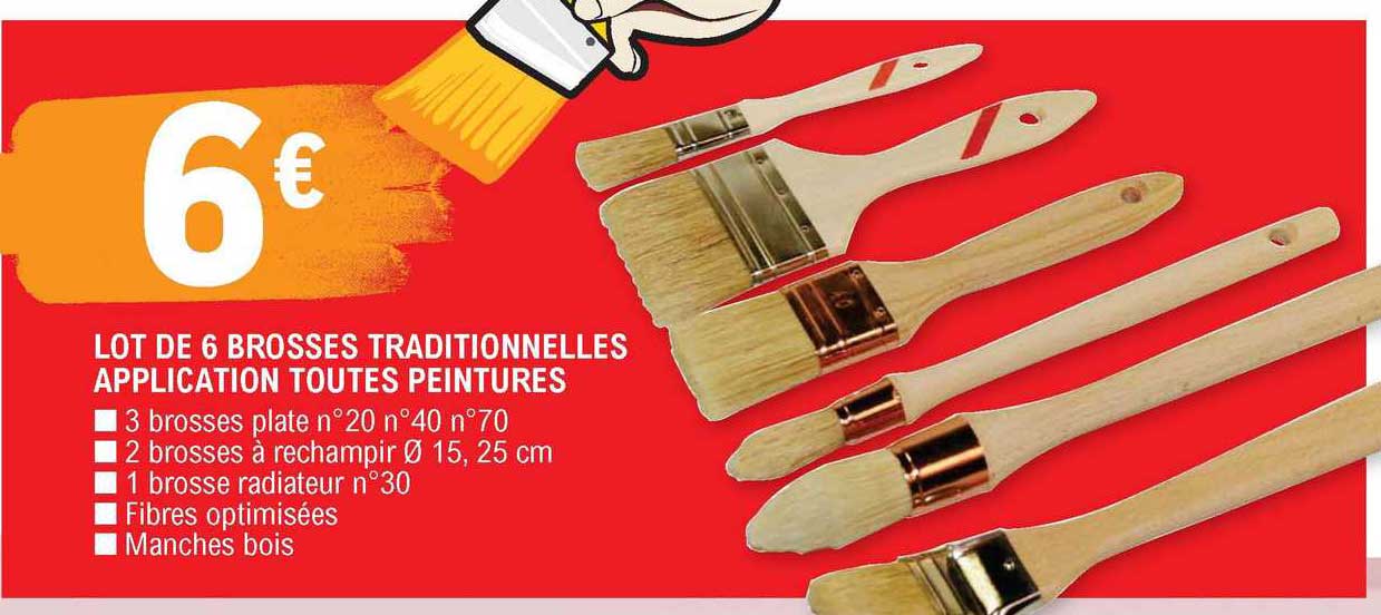 lot de 6 brosses traditionnelles application toutes peintures