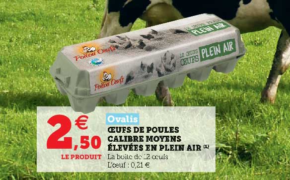 oeufs de poules calibre moyens élevées en plein air ovalis
