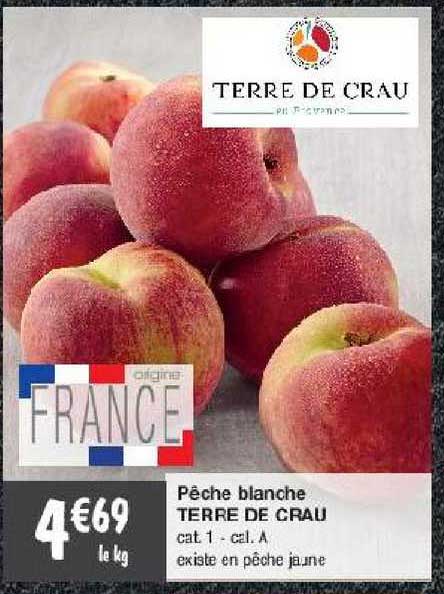 pêche blanche terre de crau