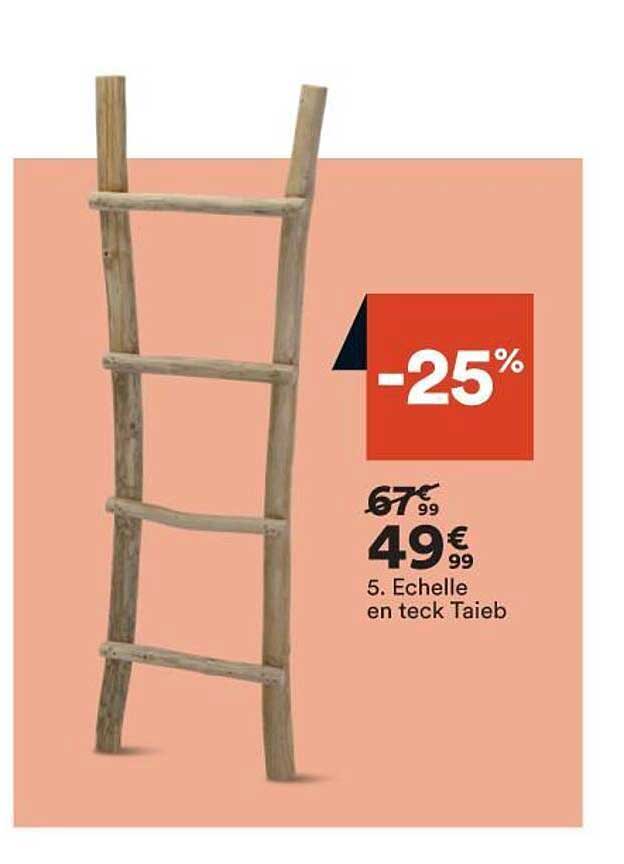 échelle en teck taieb