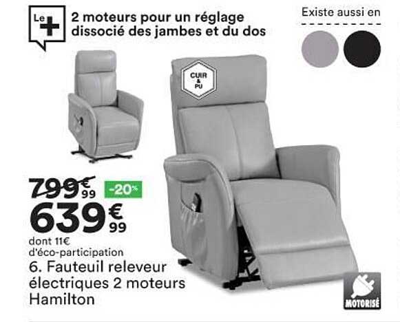fauteuil releveur électriques 2 moteurs hamilton