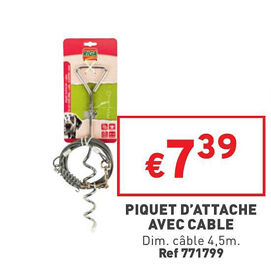 piquet d'attache avec câble