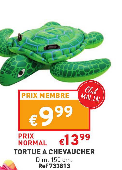 tortue à chevaucher