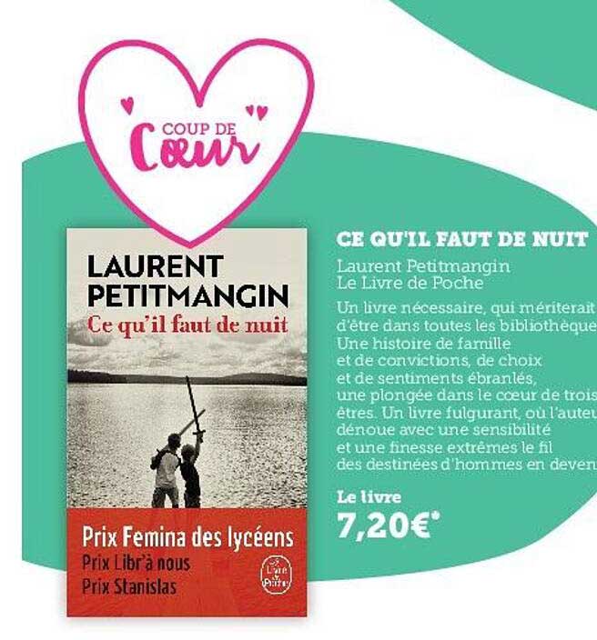 ce qu'il faut de nuit - laurent petitmangin