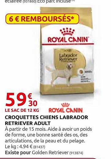 croquettes chiens labrador retriever adult royal canin