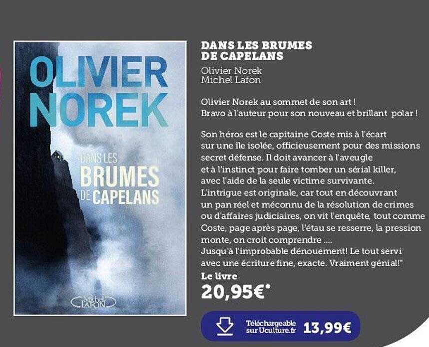 dans les brumes de capelans - olivier norek - michel lafon