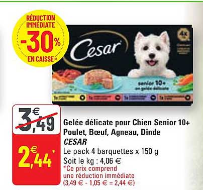 Gelée Délicate Pour Chien Senior 10+ Poulet, Boeuf, Agneau, Dinde Cesar