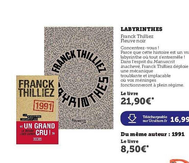 labyrinthes - franck thilliez