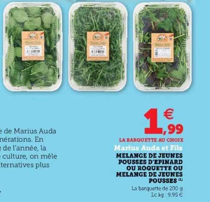 mélange de jeunes pousses d'épinard ou roquette ou mélange de jeunes pousses marius auda et fils