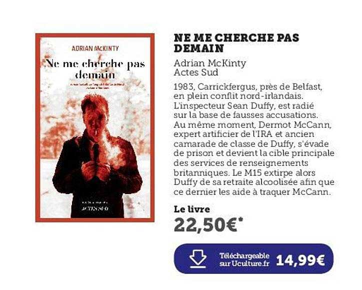 ne me cherche pas demain - adrian mcKinty