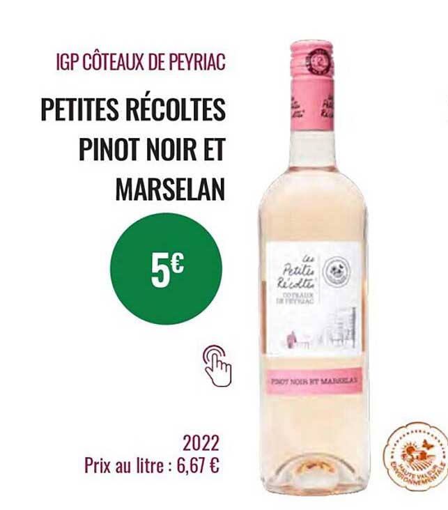 igp côteaux de peyriac petites récoltes pinot noir et marselan 2022