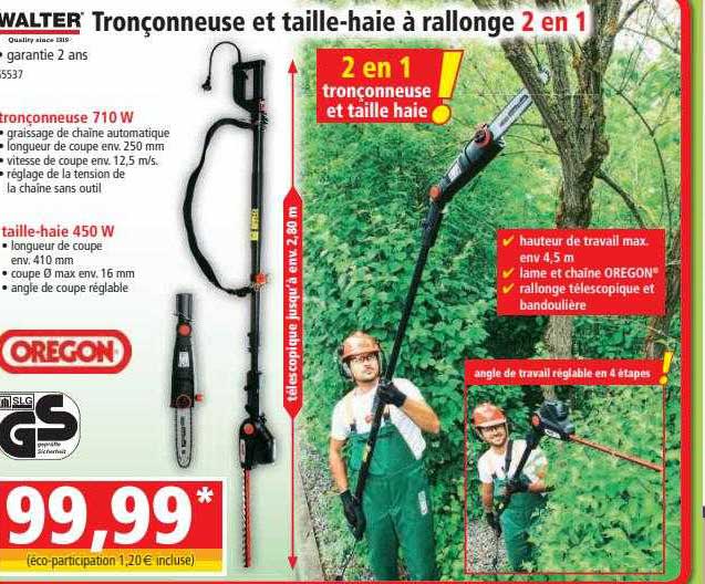tronçonneuse et taille-haie à rallonge 2 en 1 walter