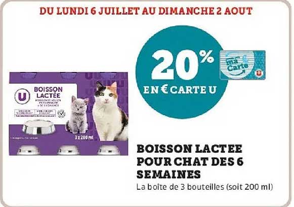 Boisson lactée pour chat des 5 semaines