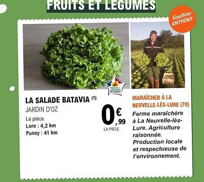 LA SALADE BATAVIA