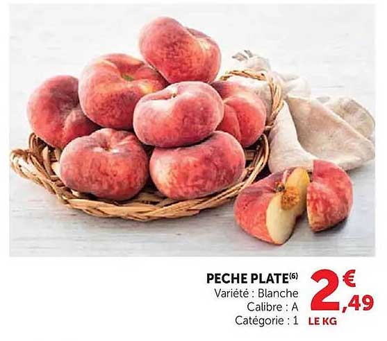 PECHE PLATE
