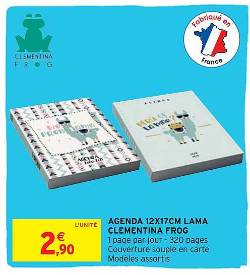 agenda 12 x 17 cm lama clementino frog