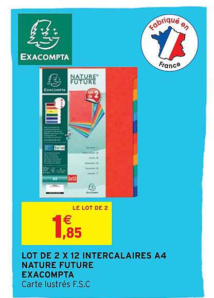 lot de 2 x 12 intercalaires a4 nature future exacompta