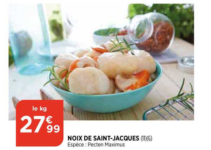 noix de saint-jacques