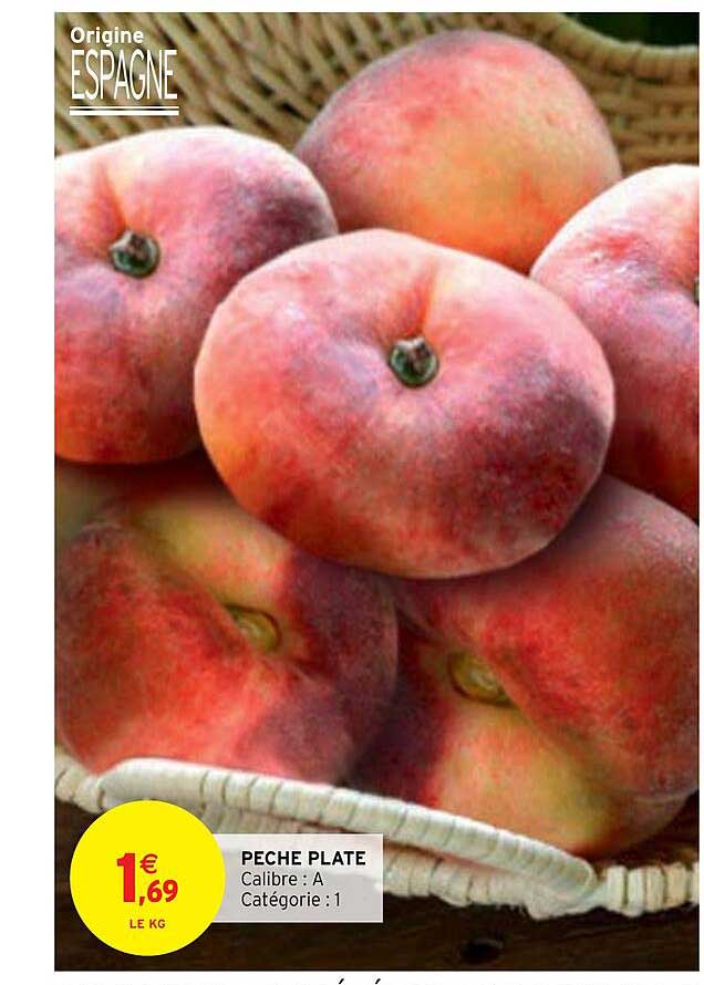 Pêche Plate