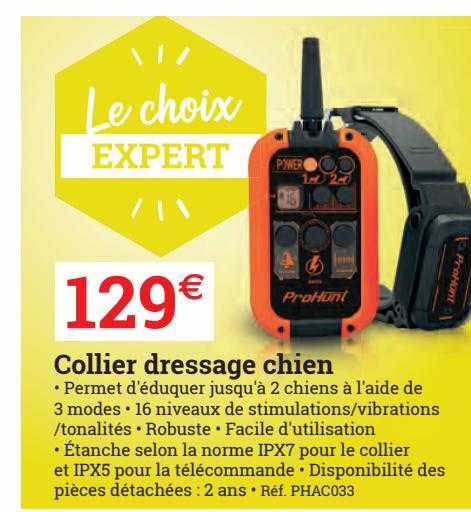 collier dressage chien
