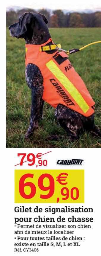 gilet de signalisation pour chien de chasse