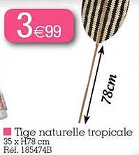 tige naturelle tropicale